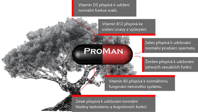 Obrázek zobrazuje skleněné srdce naplněné červenými kapslemi, které symbolizují Omega-3 mastné kyseliny (DHA a EPA) a vitamíny D a E. Na obrázku jsou umístěny barevné ikony a popisky, které ukazují, jak tyto živiny podporují zdraví srdce.