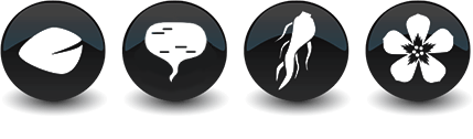 Obsahuje pískavce, macu peruánskou, žen-šen, damiana