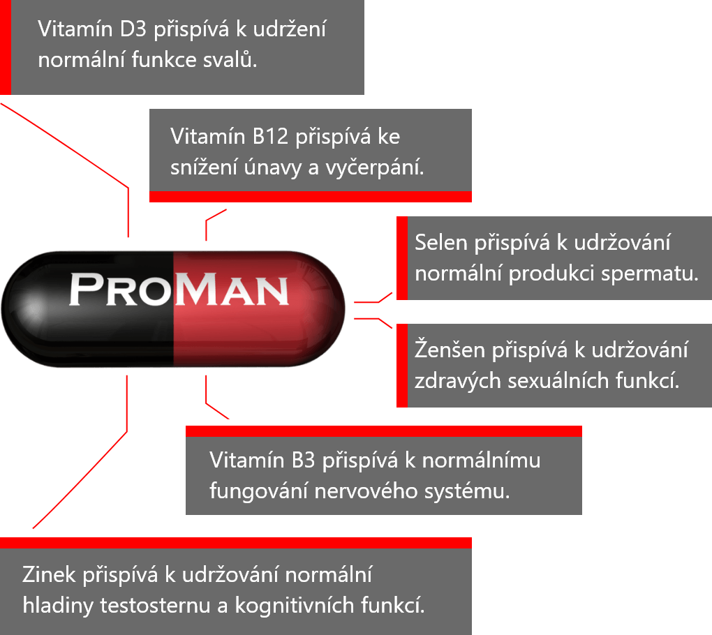 Schéma kapsle Proman